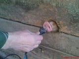 pigplug