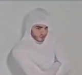 the noid