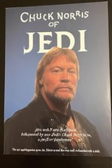 AIposterNorris