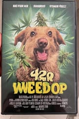 dogweed