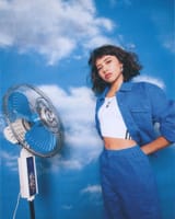 Fan