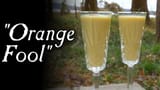 orange fool