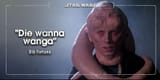 bib fortuna