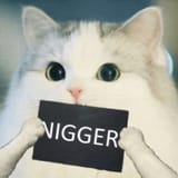Nigger