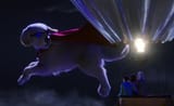 The-Good-Place-Flying-Puppy-thumb-700xauto-221367
