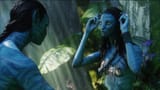 Neytiri_1449