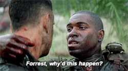 forrest-whyd-this-happen_thumb.jpg
