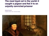 Loyal cat
