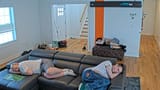 fishtank_2025-06-23_20-57-27