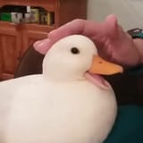 1555609791340