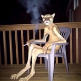 meifmecat