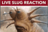 live-slug-reaction