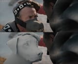 uyxccebwsj151