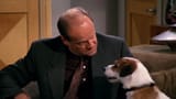 hes-not-an-actor-hes-a-dog-1700606989_webp