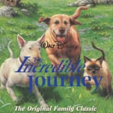 incredible journey