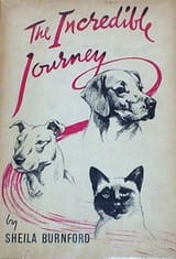 Book-IncredibleJourney