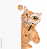1000_F_84588948_DKNelKkzHvNGLjpdGar5q3lXcoKwibpl
