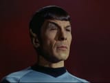 Spock eyebrow