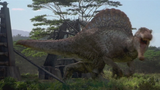 Jp3Spino