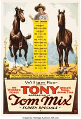 Tony the Wonder Horse