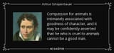 quote-compassion-for-animals-is-intimately-associated-with-goodness-of-character-and-it-may-arthur-schopenhauer-44-69-49