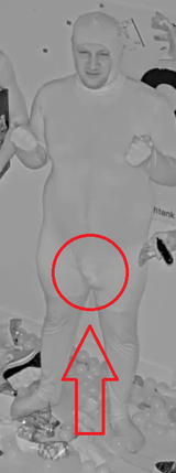 aregay