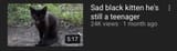 tumblr_f4ff91f1625c96adf7550332fffc0d2f_e9467873_640