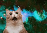 mindblown-cat-in-galaxy-ul1lum6lxudmtecd