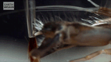 TpkiI9[1]