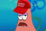 average trump supporter