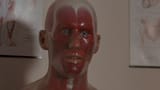 Pin-Anatomy-Doll