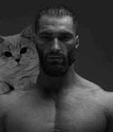 Gigacat