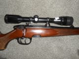 Steyr-Mannlicher-Mod-SL-222-Remington_100818149_78886_E594FD2D54B48678
