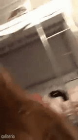 rebunked