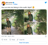 brie goes out