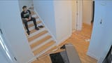 freddy stairs