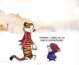 Calvin and Hobbes showing true friendship