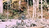 Patterson_Gimlin_Bigfoot