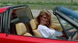 christie brinkley vacation