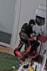 1728082414865497