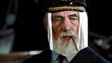 captain