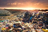 Beautiful_Trash