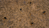 Screenshot_20250626-004526