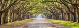 istock_966370788_usa_savannah_3000x1000