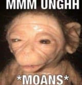 1638960177254