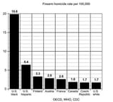 Race and Gun Violence Chart