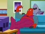 harveybirdman