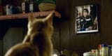 sopranos-finale-christopher-cat-symbolizm
