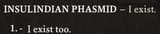 phasmid