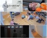 aquarium4